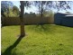 82 Foch Street, Box Hill South VIC 3128