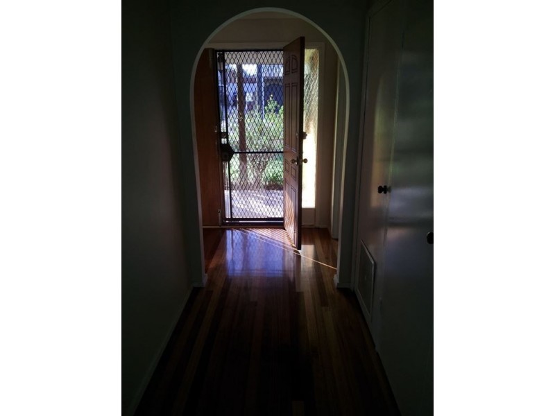 17 Jodi Avenue, Wheelers Hill VIC 3150