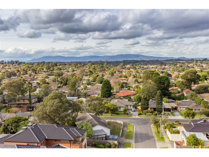24 Hallows Street, Glen Waverley VIC 3150