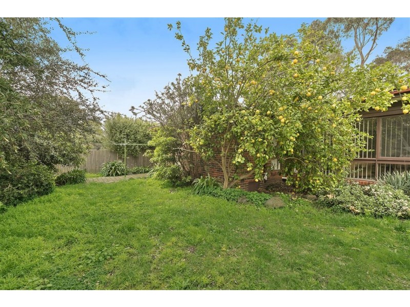 877 Waverley Road, Glen Waverley VIC 3150