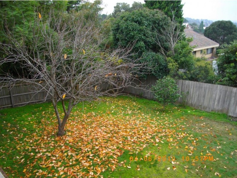 16 Springvale Road, Glen Waverley VIC 3150