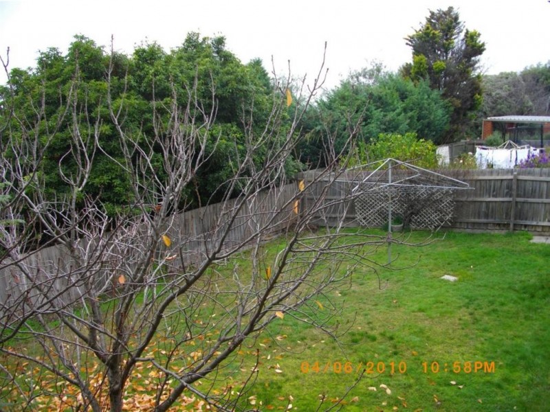 16 Springvale Road, Glen Waverley VIC 3150