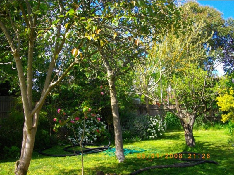 6 Clematis Street, Glen Waverley VIC 3150