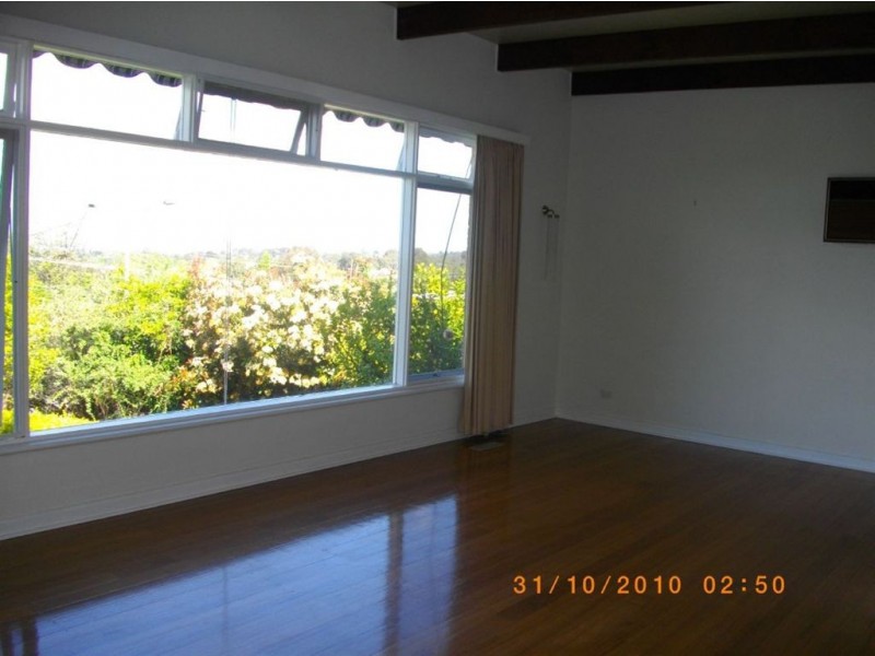 137 Springvale Road, Glen Waverley VIC 3150