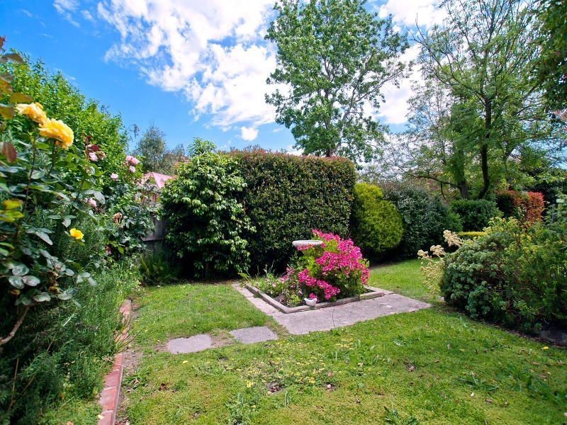 50 Aitchison Ave, Ashburton VIC 3147