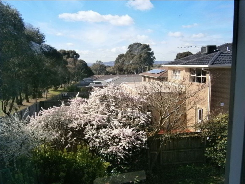 82 Mary Avenue, Wheelers Hill VIC 3150