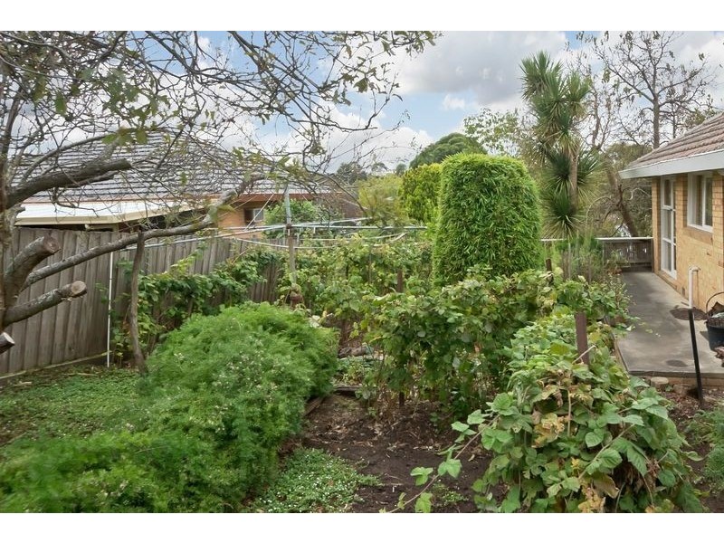 21 Falconer Street, Glen Waverley VIC 3150