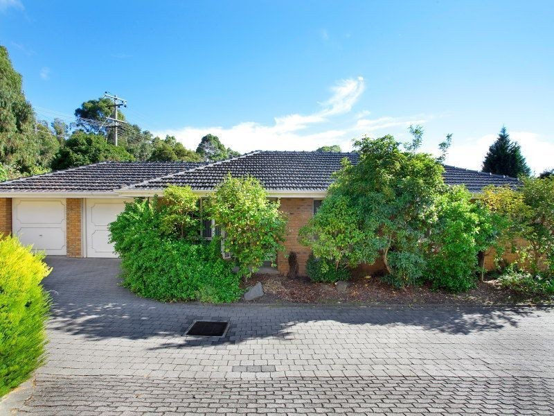 3/100 Springvale Road, Glen Waverley VIC 3150