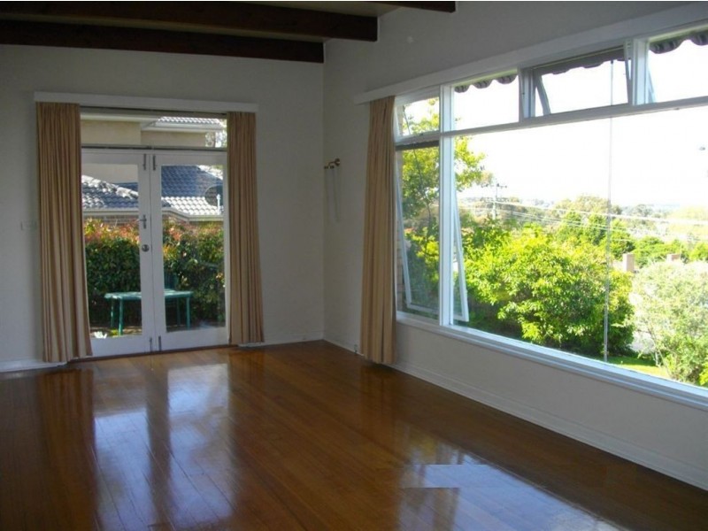 137 Springvale Road, Glen Waverley VIC 3150