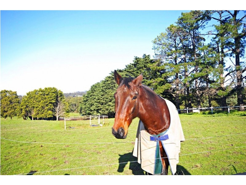 4 Nortons Lane, Wantirna South VIC 3152