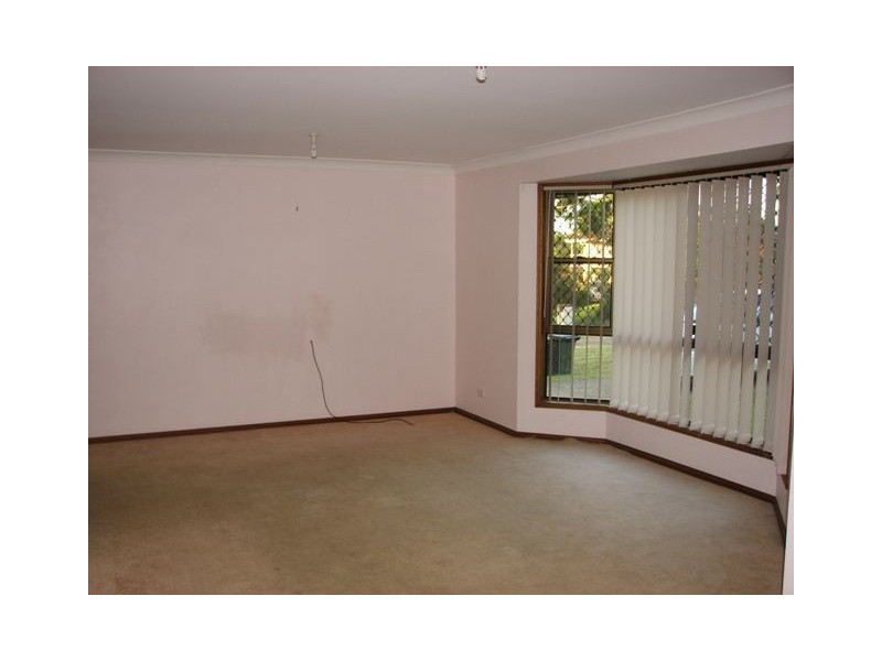14 Clovelly Street, Sunnybank Hills QLD 4109