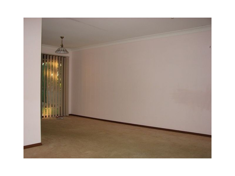 14 Clovelly Street, Sunnybank Hills QLD 4109