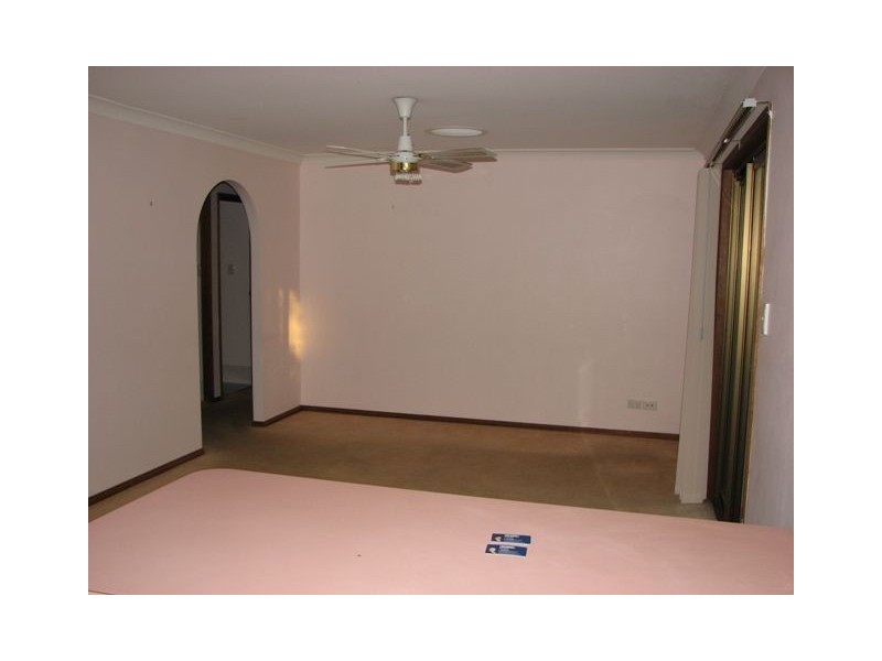 14 Clovelly Street, Sunnybank Hills QLD 4109