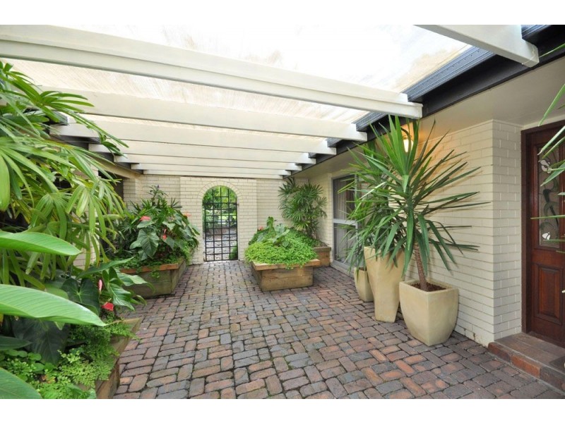 6 Akora Street, Macgregor QLD 4109