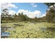 55 Aster Place, Calamvale QLD 4116