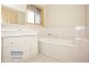 9 Cosmos Street, Springfield QLD 4300