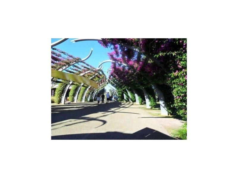 28/62 Cordelia Street, South Brisbane QLD 4101