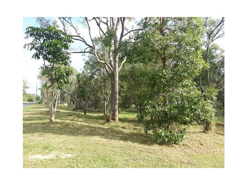 9 Tipuana Drive, Capalaba QLD 4157