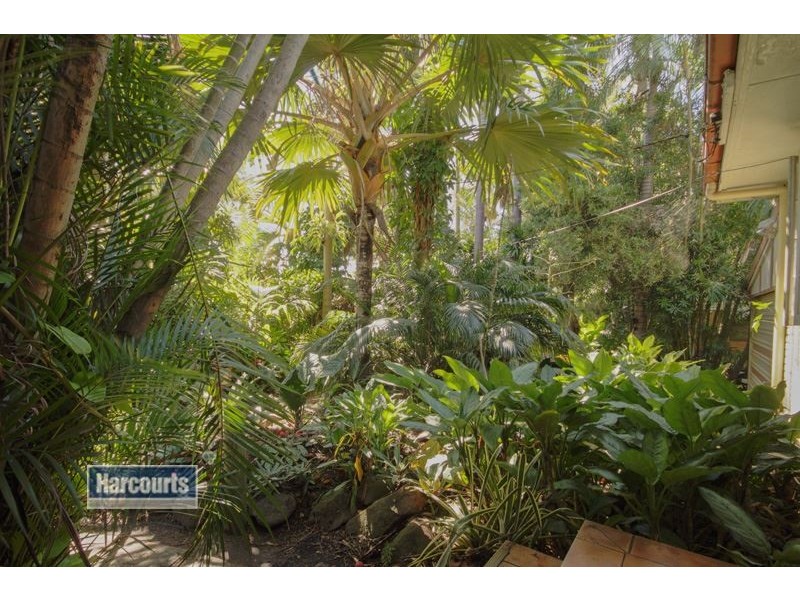 173 Young Street, Sunnybank QLD 4109