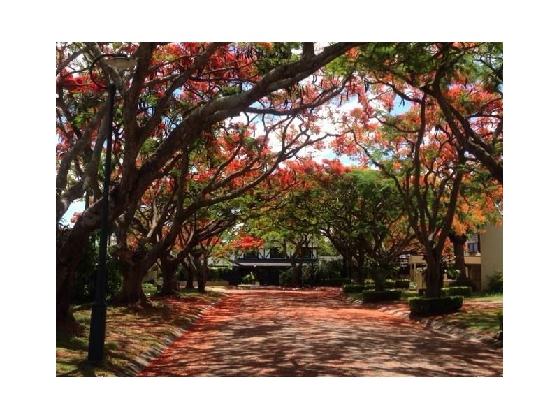 5 Burmel Street, Robertson QLD 4109