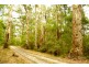 Bringalily QLD 4357