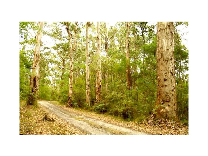 Bringalily QLD 4357