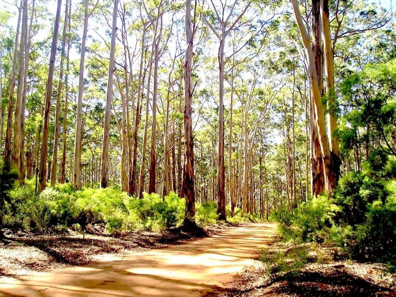 Bringalily QLD 4357