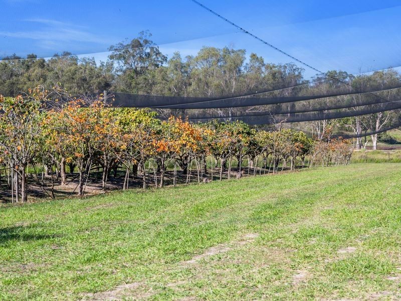 106 Giles Road, Redland Bay QLD 4165