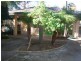 28A Parry Street, Claremont WA 6010