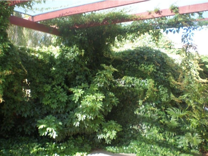 61 Cordelia Avenue, Coolbellup WA 6163