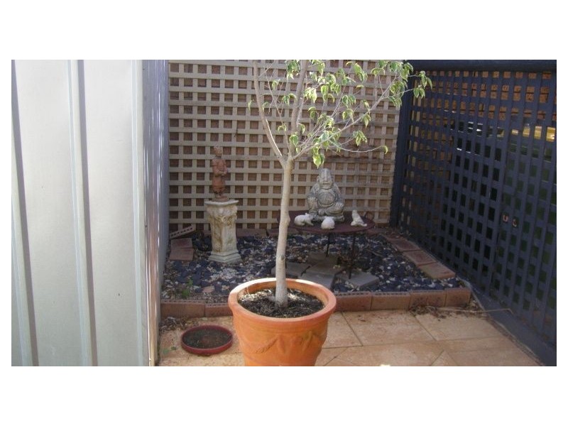 2/7 First Street, Bicton WA 6157