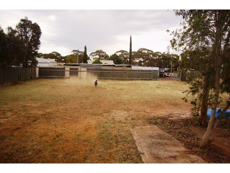 115 Prinsep Street, Norseman WA 6443