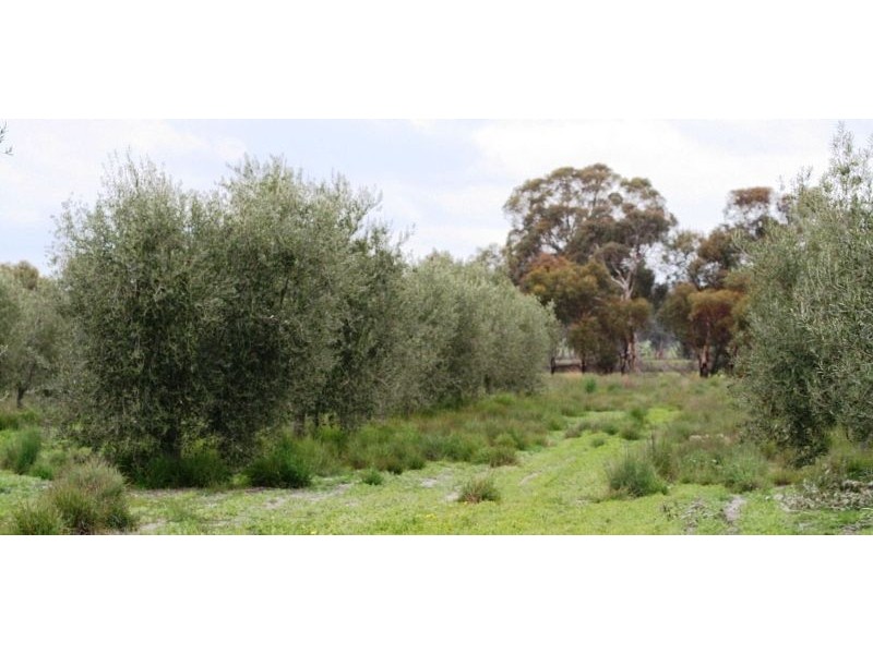 1278 Kokendin Road, Talbot West WA 6302