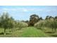 1278 Kokendin Road, Talbot West WA 6302