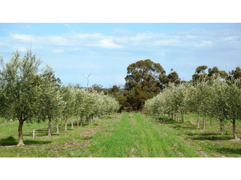 1278 Kokendin Road, Talbot West WA 6302