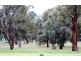 1278 Kokendin Road, Talbot West WA 6302