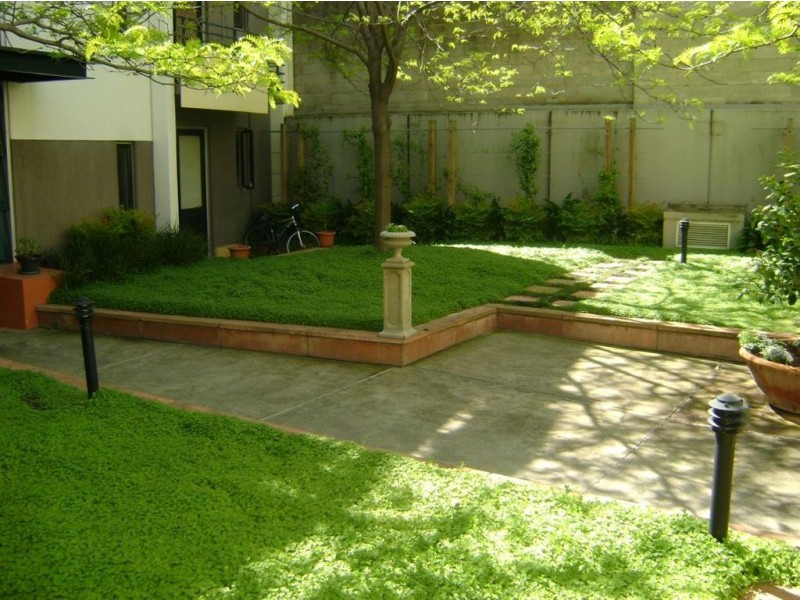 1/157 Bouverie St, Carlton VIC 3053