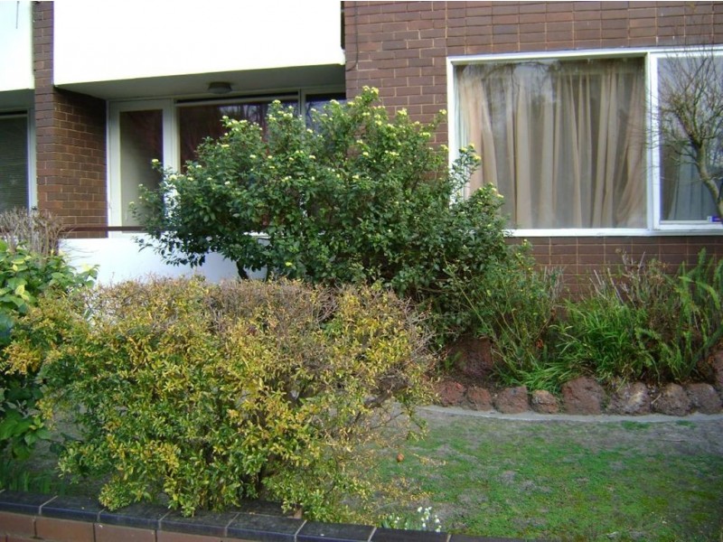 2/17-19 Armadale Street, Armadale VIC 3143