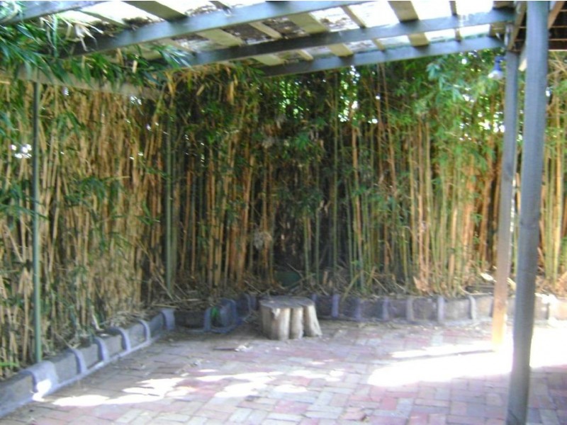 35 Newman Street, Thornbury VIC 3071