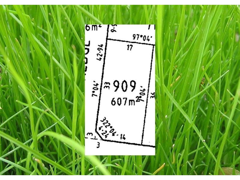 18 Lewins Rail Avenue, South Morang VIC 3752