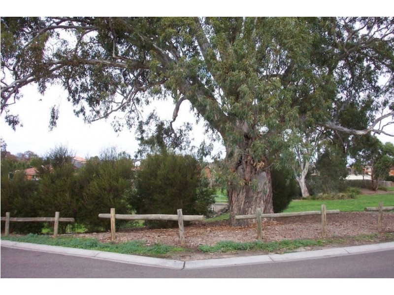 18 Viewbank Place, Mill Park VIC 3082