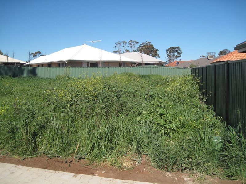 Lot 231 Palmer Road, Elizabeth Park SA 5113