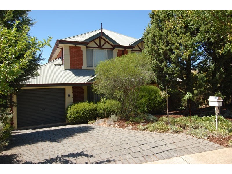 3 Tomatin Court, Greenwith SA 5125