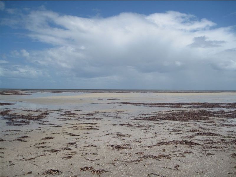 11 Heron Crescent, Thompson Beach SA 5501