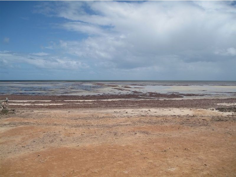 11 Heron Crescent, Thompson Beach SA 5501