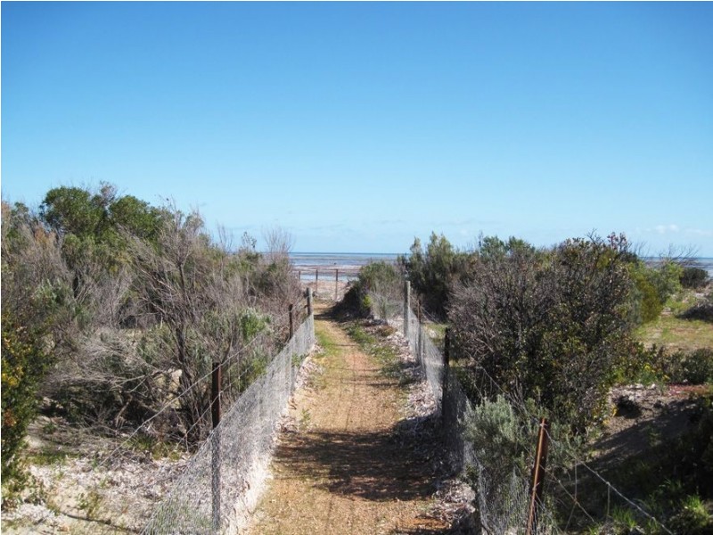 lot 172 Petrel Crescent, Thompson Beach SA 5501