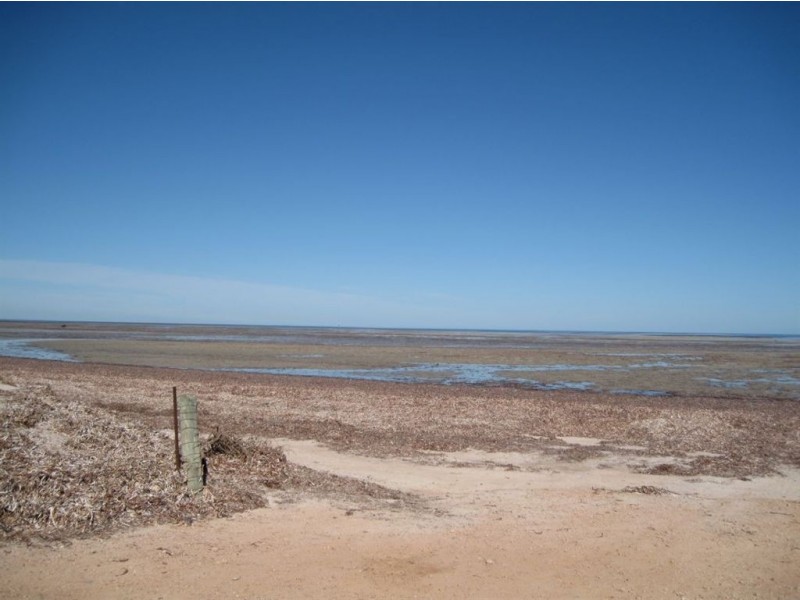 lot 172 Petrel Crescent, Thompson Beach SA 5501