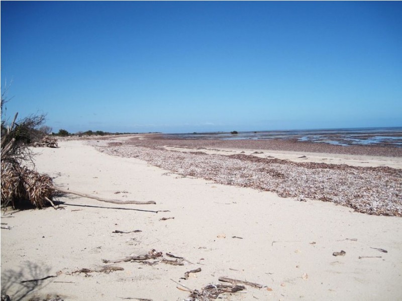 lot 172 Petrel Crescent, Thompson Beach SA 5501