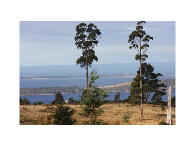 Lot 1 Dulcia Road, Gordon TAS 7150