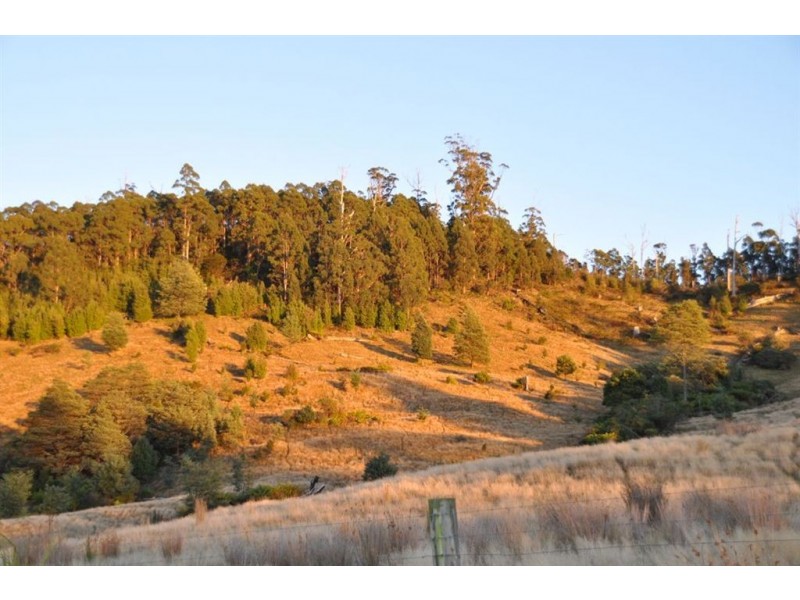 Lot 1 Dulcia Road, Gordon TAS 7150